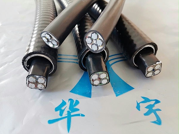 14404981301993185723